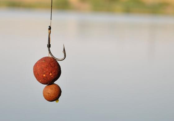 Riguri - montura.jpg